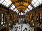 Inside the Natural History Museum