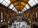 Inside the Natural History Museum